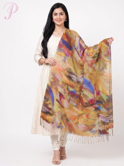 Wool Scarf Multi Colour